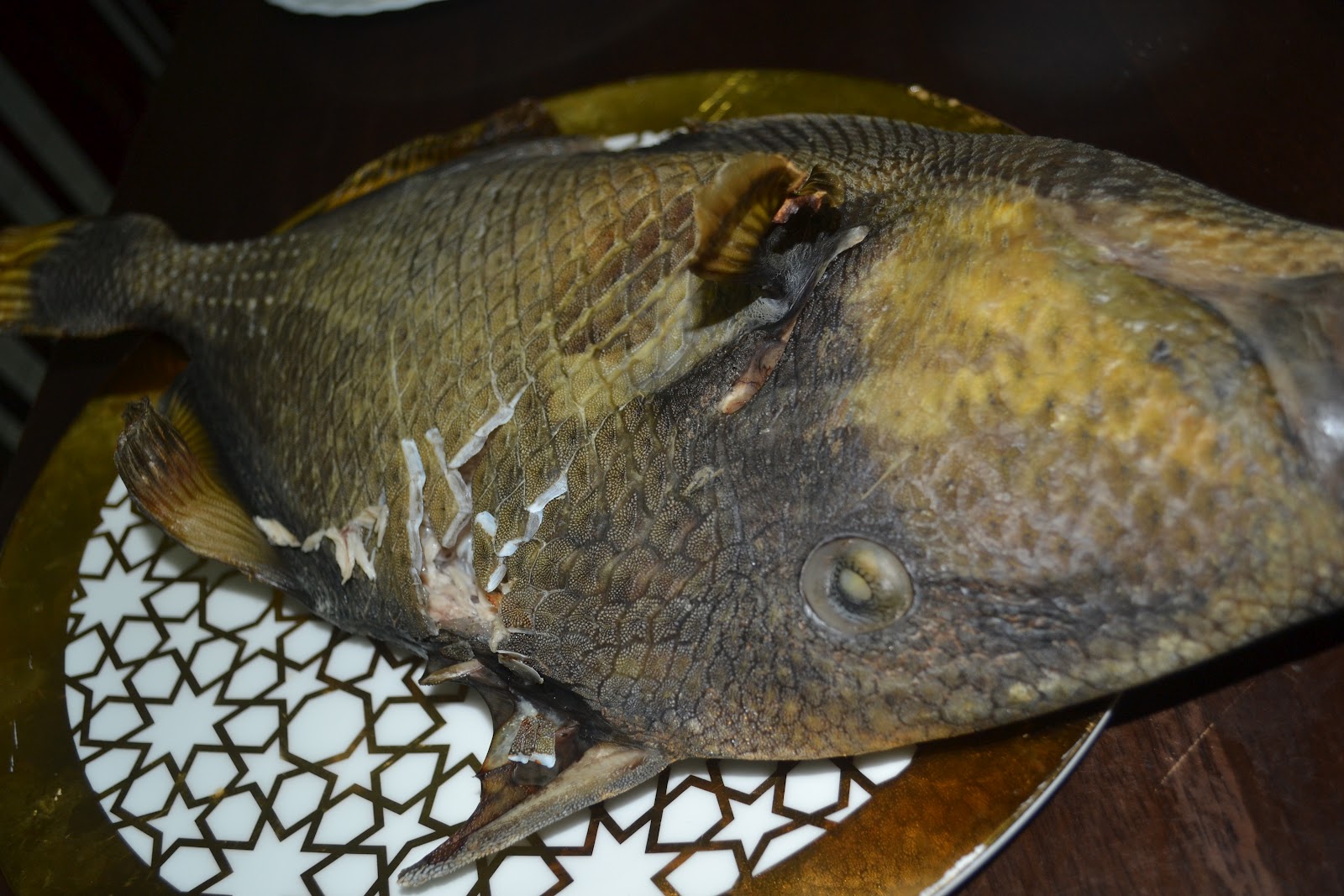 vita, victus et eo..... Sea chicken a.k.a Jebong......