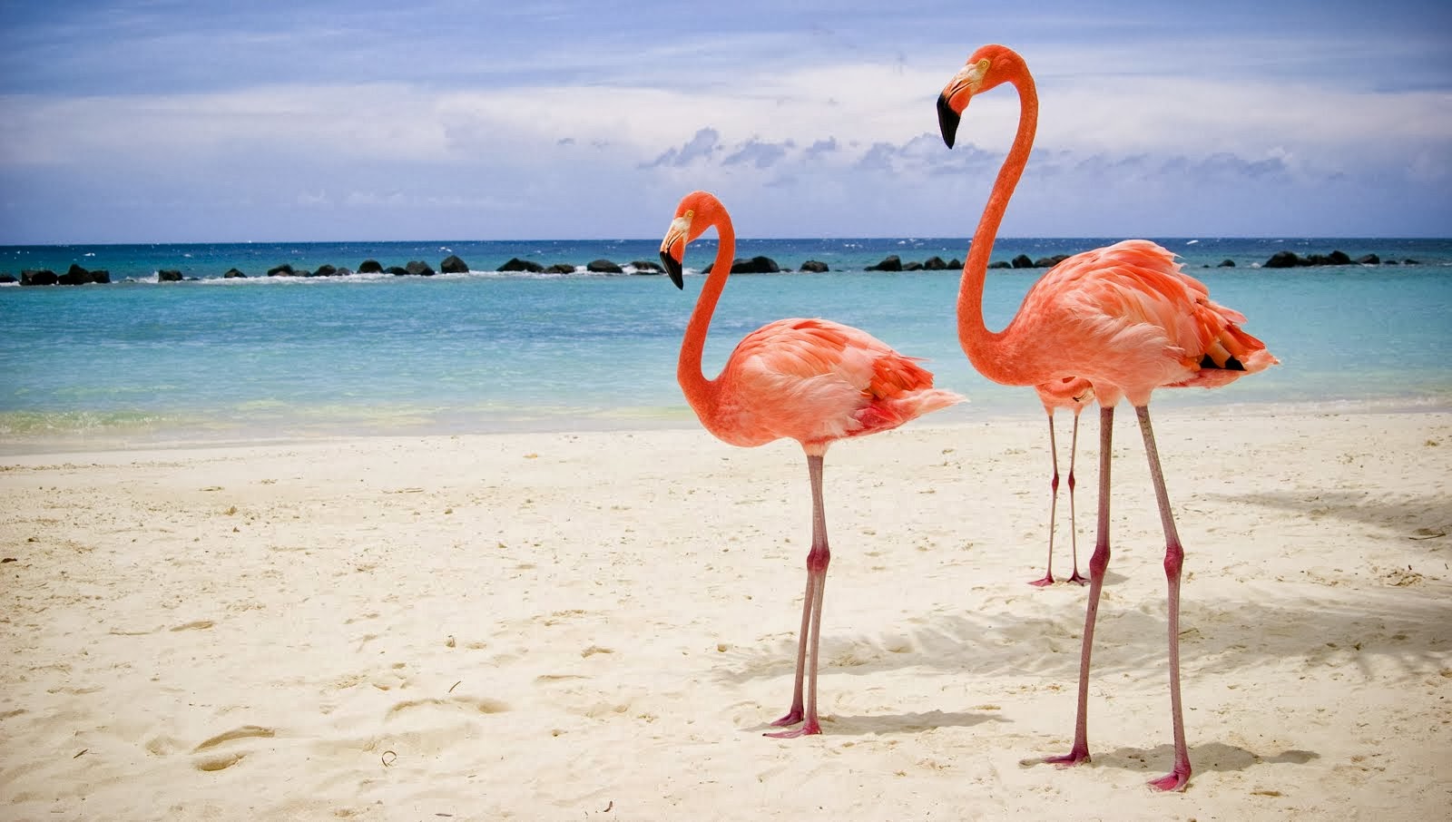 Vacation Inspiration # 127 - Aruba