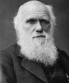 Frasi e Aforismi di Charles Darwin