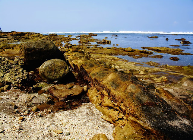 Pantai Karapyak yang Masih Perawan Pantai Karapyak yang Masih Perawan