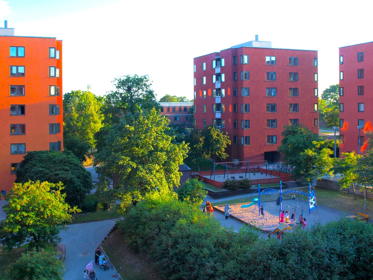 a photo a day lappis