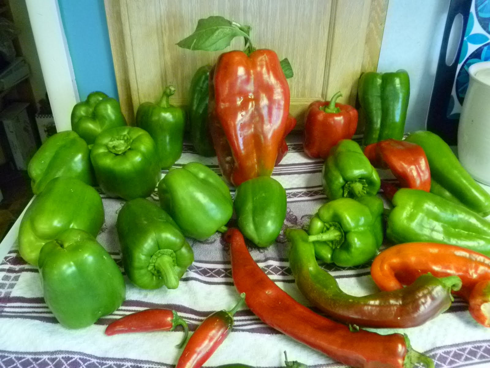 Peppers of all kinds grow well in this climate and soil.