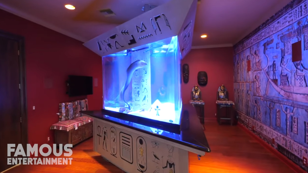 30 Photos vs. Shaquille O’Neal | House Tour 2020 | Mansions in Georgia, Florida & More - Luxury Home & Interior Design Video Tour 30 Photos vs. Shaquille O’Neal | House Tour 2020 | Mansions in Georgia, Florida & More - Luxury Home & Interior Design Video Tour