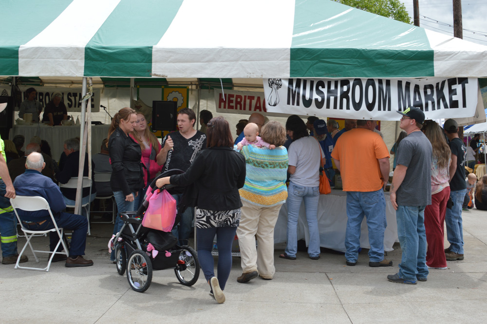 Run 2 the Wild Snapshots of Mountain Mushroom Festival