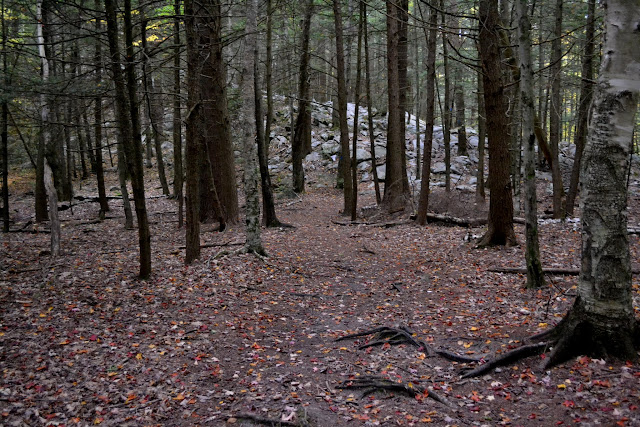 Національна зона відпочинку Вайт Рокс, Вермонт (White Rocks National Recreation Area, VT)