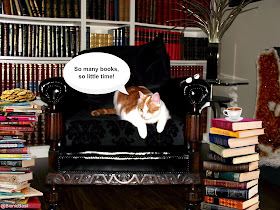 amber bibliokitty Feline Fiction on Friday's with Amber @BionicBasil™