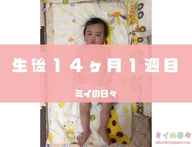 身体測定 赤ちゃん 生後14ヶ月 1歳２ヶ月