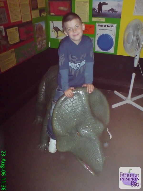 The Dinosaur Museum, Dorchester, Dorset [#MuseumWeek]