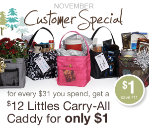 Thirty One November Customer Specials