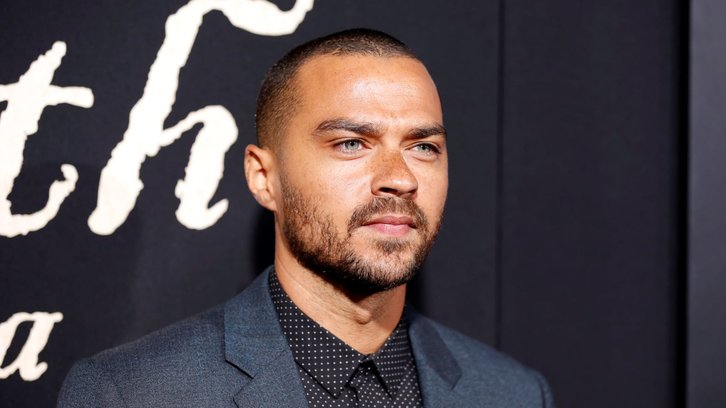 Little Fires Everywhere - Jesse Williams to Recur