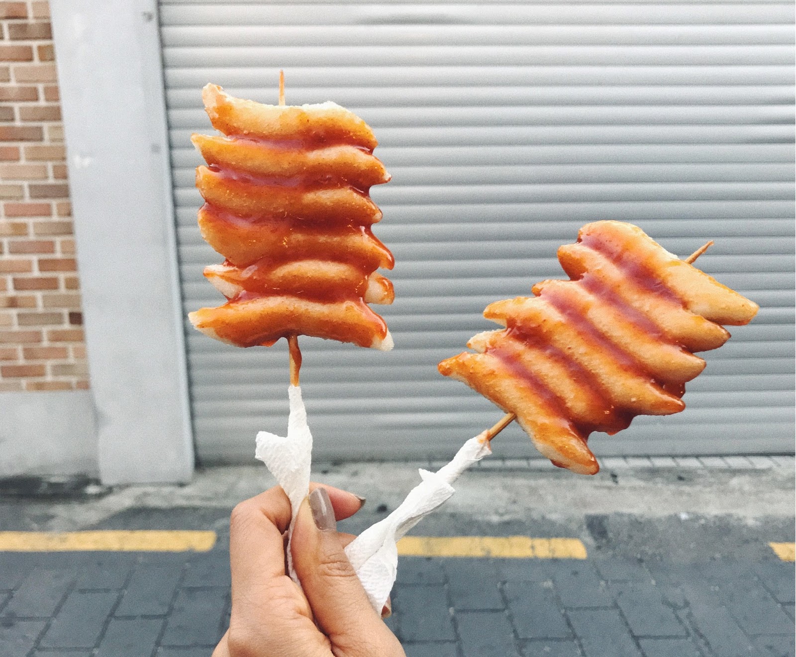 the splendor display.: 2017