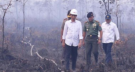 Wakil Presiden RI Jusuf Kalla Menegaskan, Singapura Tidak Berhak Proses Hukum WNI Yang menyebabkan Kebakaran Hutan Jokowi tinjau kebakaran hutan