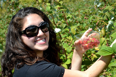 Fresh Raspberry and Apple Crumble with Lemon Zest and Sweet Oat Topping