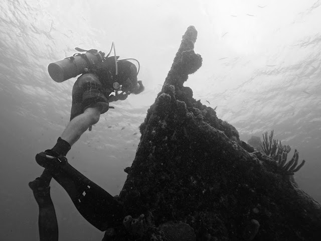 Diving in Barbados | Copyright: Skip to Malou Blog Diving, Underwater Photography, Barbados, Black and White Photography, GoPro