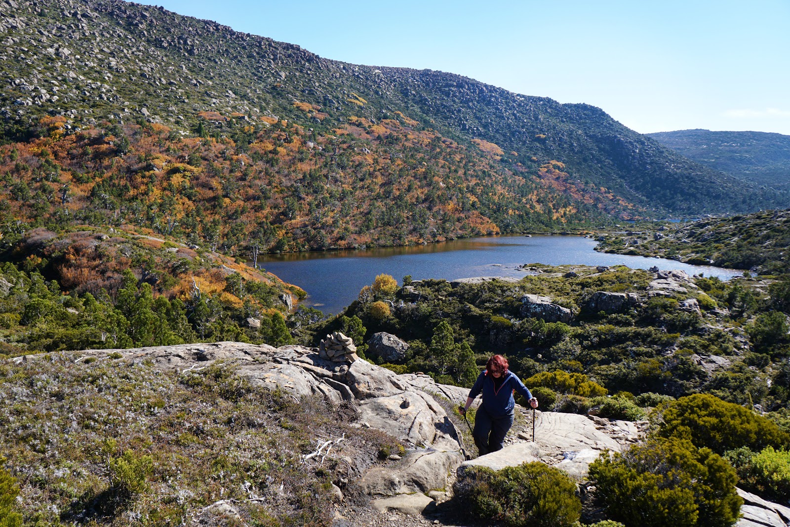 Tarn Shelf Circuit (Mount Field National Park) The Long Way's Better