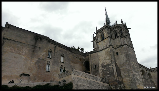 Chateau d'Amboise pays de la Loire monument patrimoine Unesco