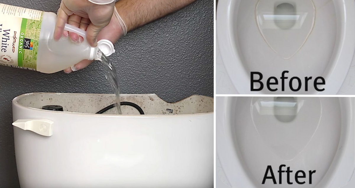 Interesting How To Clean Toilet Tank With Vinegar And Baking Soda ... Interesting How To Clean Toilet Tank With Vinegar And Baking Soda ...