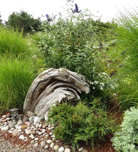 driftwood nature sculpture in garden