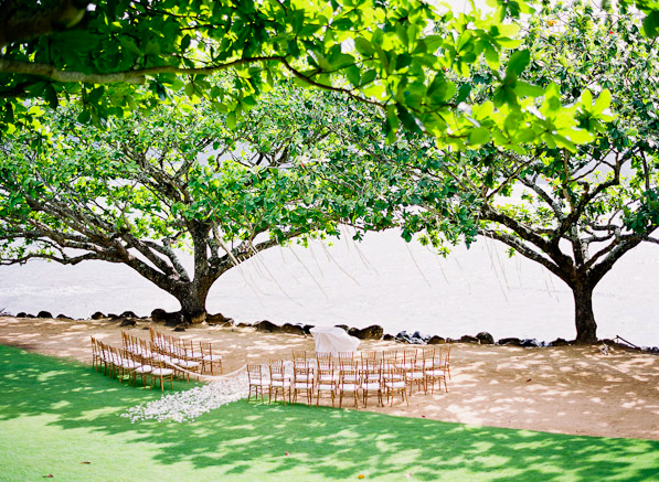  on topics specific to planning a destination wedding in Maui