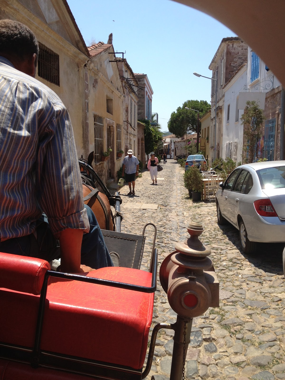 Kedi Süpürgesi Cunda