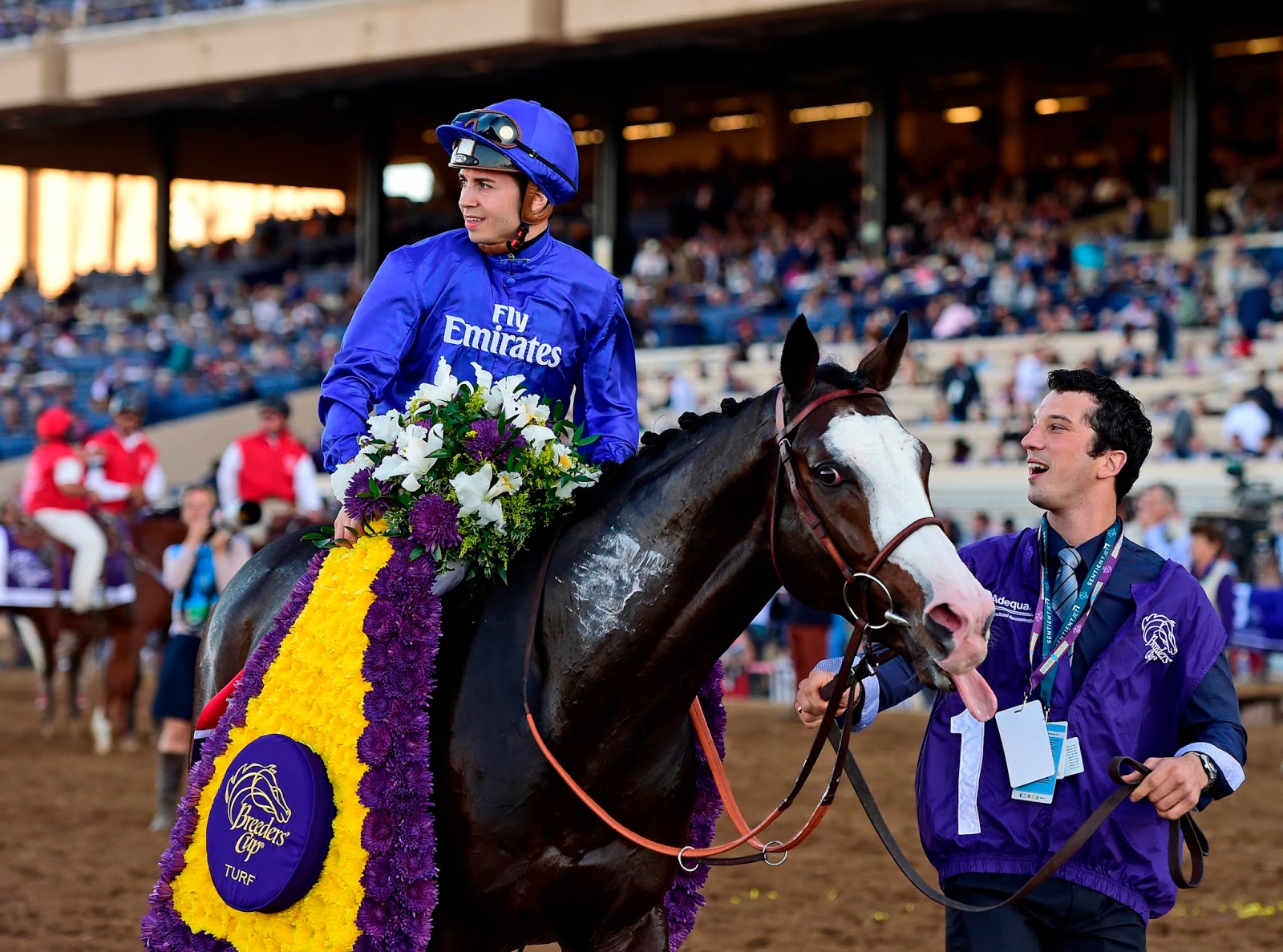 A Veterinarian's Take 2017