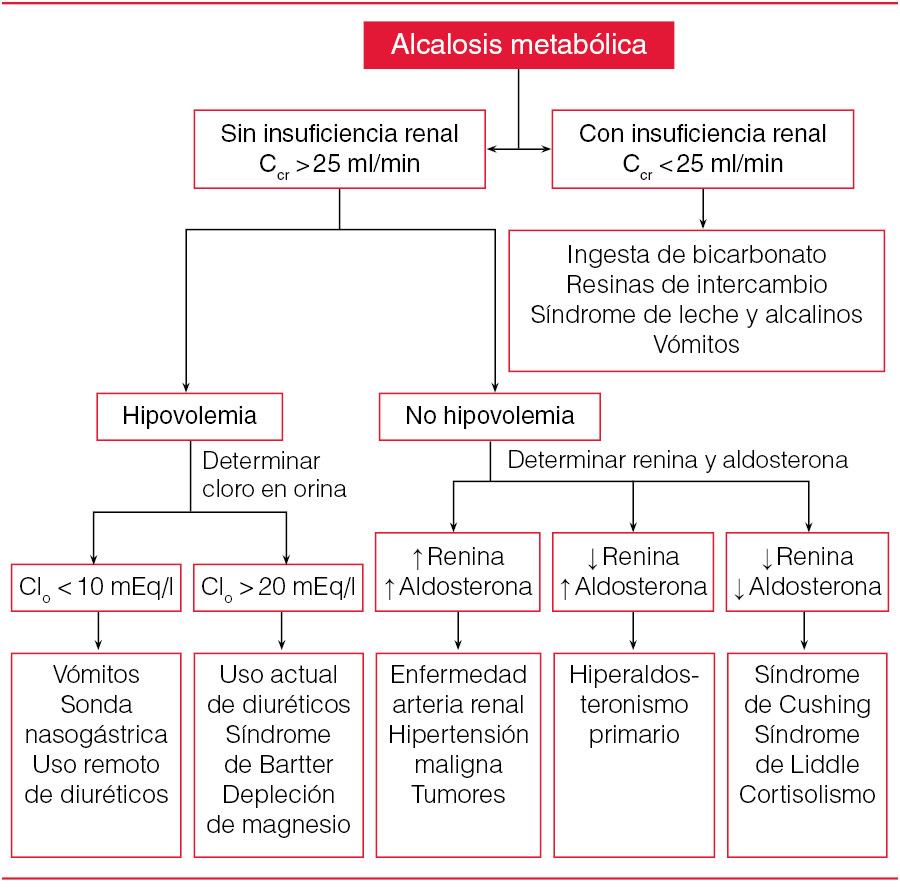 BIOQUÍMICA Y MEDICINA ACIDOSIS Y ALCALOSIS METABÓLICA BIOQUÍMICA Y MEDICINA ACIDOSIS Y ALCALOSIS METABÓLICA