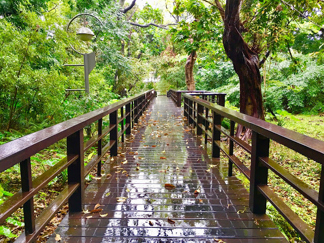 台北植物園｜周日步道課｜蝌蚪池塘｜羊駝老師