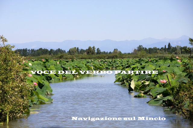 ESCURSIONI VICINO MANTOVA: NAVIGAZIONE SUL MINCIO