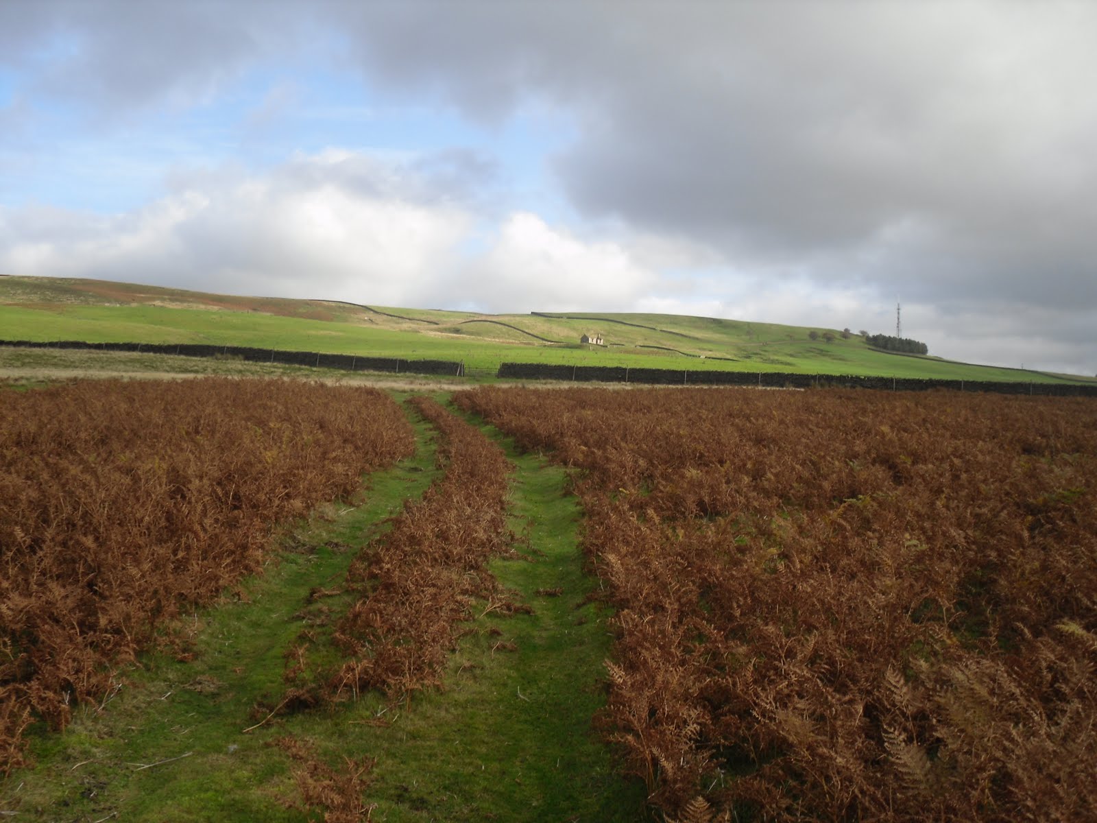 Rambling Nana Stanhope & Wolsingham Park Moor