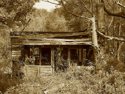 Burnt-out cottage, Blackville, SC