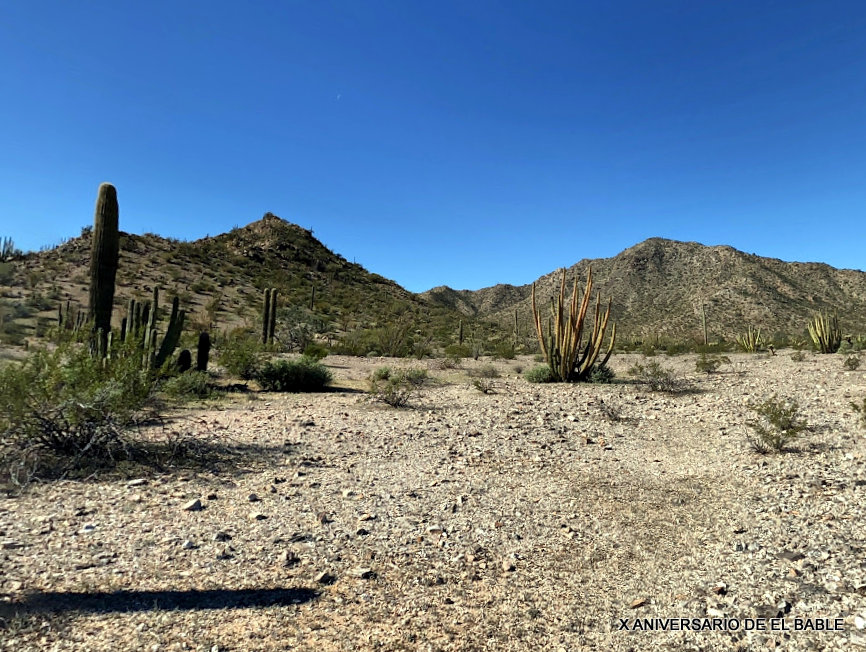 El Bable Haciendas de Sonora, tercera parte.