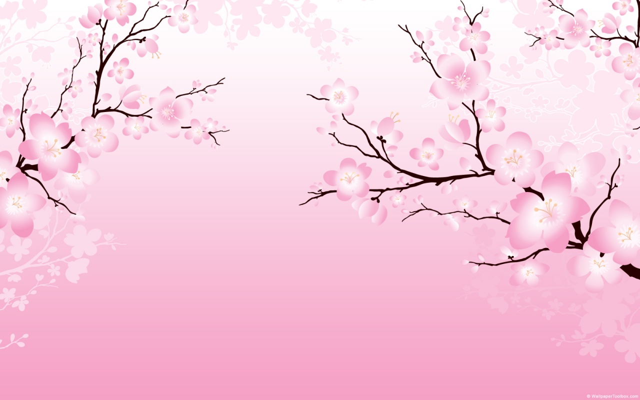 http://2.bp.blogspot.com/-KCmDkgGfg3s/TdVNaNWebrI/AAAAAAAAEKE/PtBXVwWQpzQ/s1600/cherry-blossom-wallpaper-01-1280x800.jpg