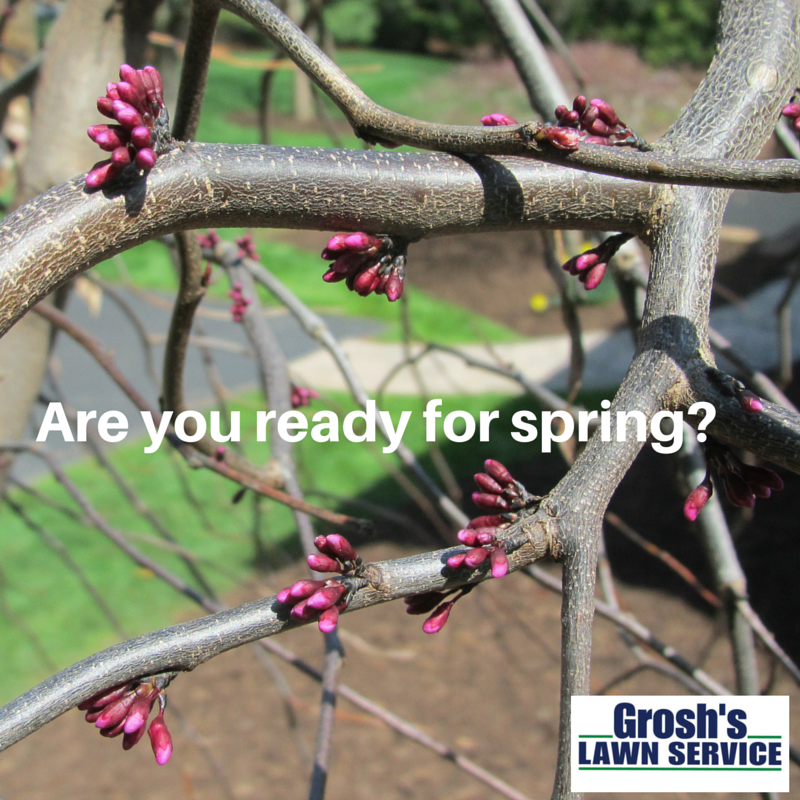 Groshs Lawn Service Flower Garden Show Hagerstown MD Washington County MD