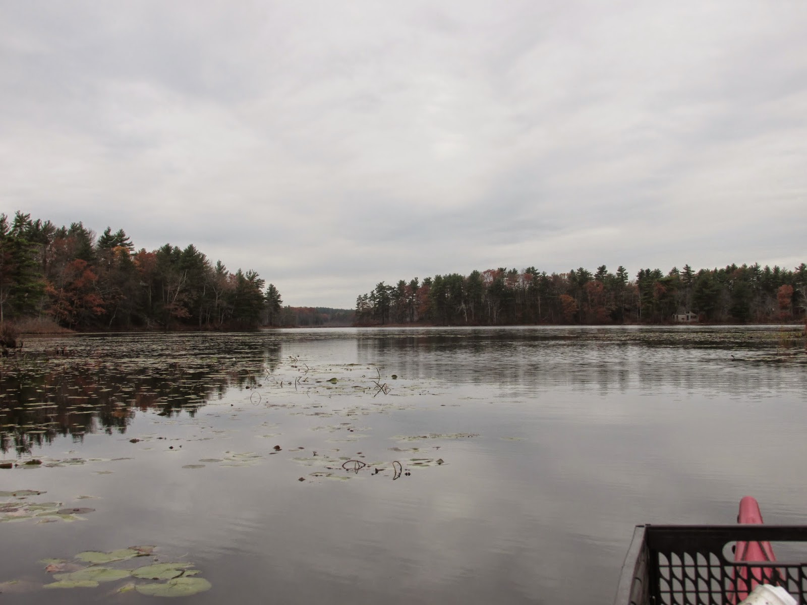 Trashpaddler Status Quo at Spectacle Pond