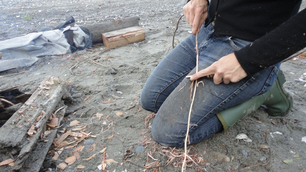 Giihlgiigaa - Haida Weaver: Spruce Root Gathering Pictures