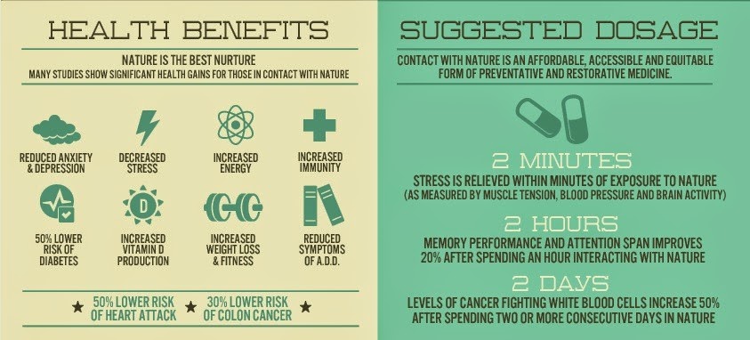 Nurture перевод. Natural-benefits. Equitable Remedies виды. Suzuki infographic. Health benefit of Tattoo.