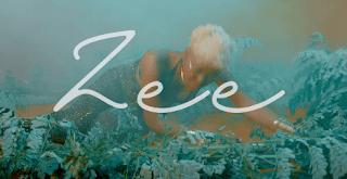 Zee - Die for You Video - Mp4 Download