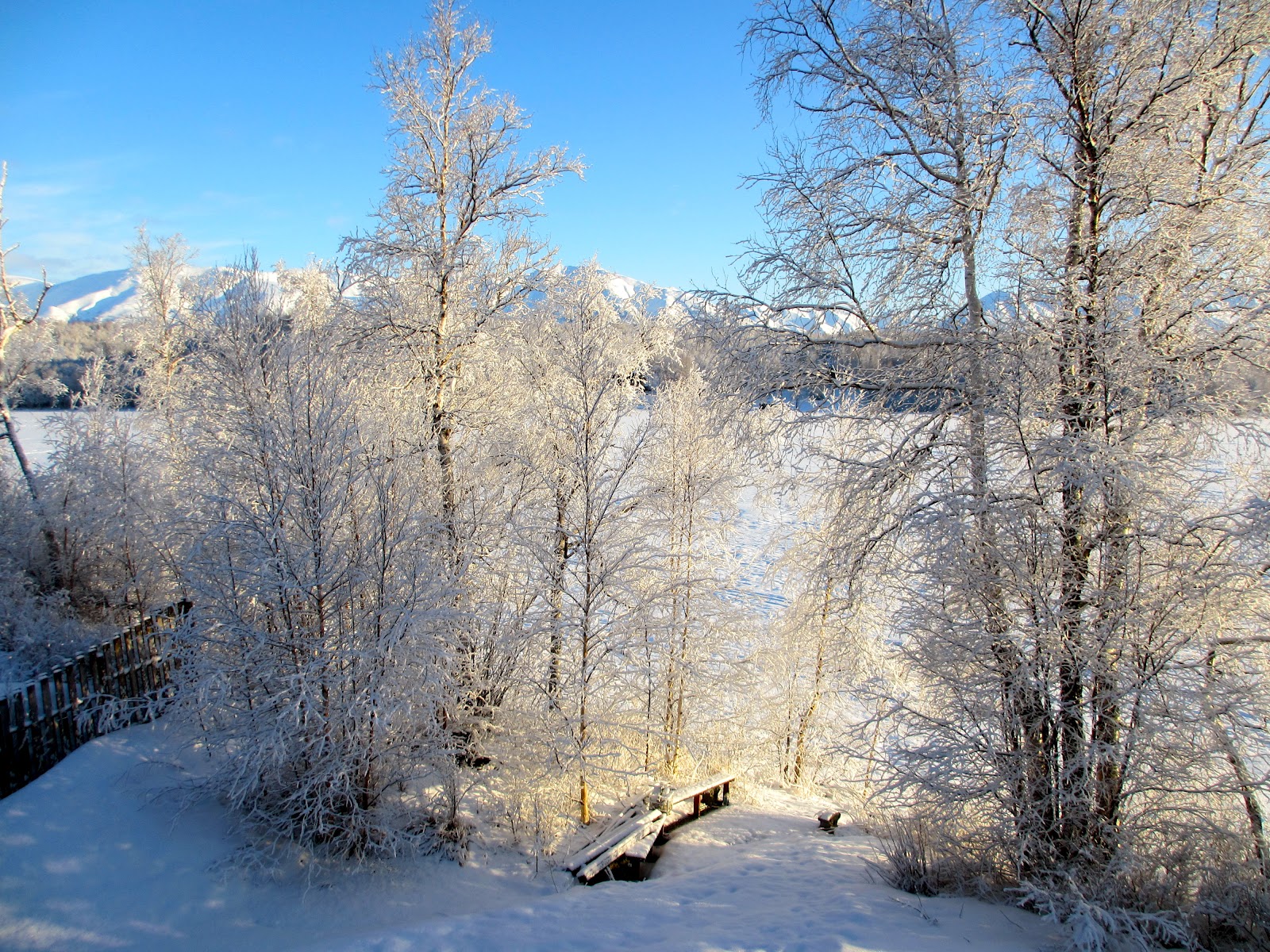 Progressive Alaska: Winter's Last Hurrah? 