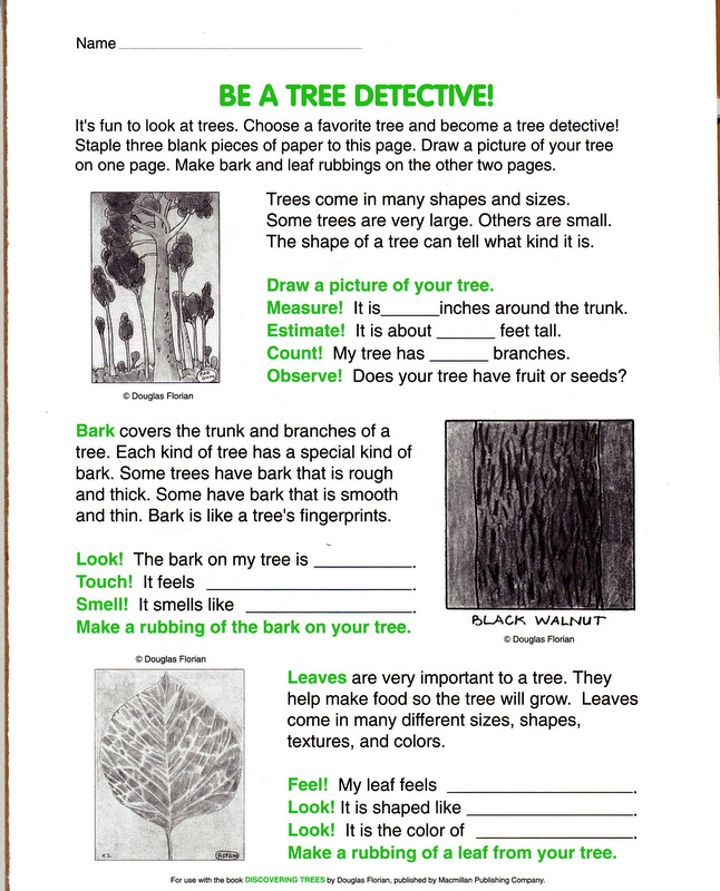 ELEMENTARY SCHOOL ENRICHMENT ACTIVITIES BE A TREE DETECTIVE