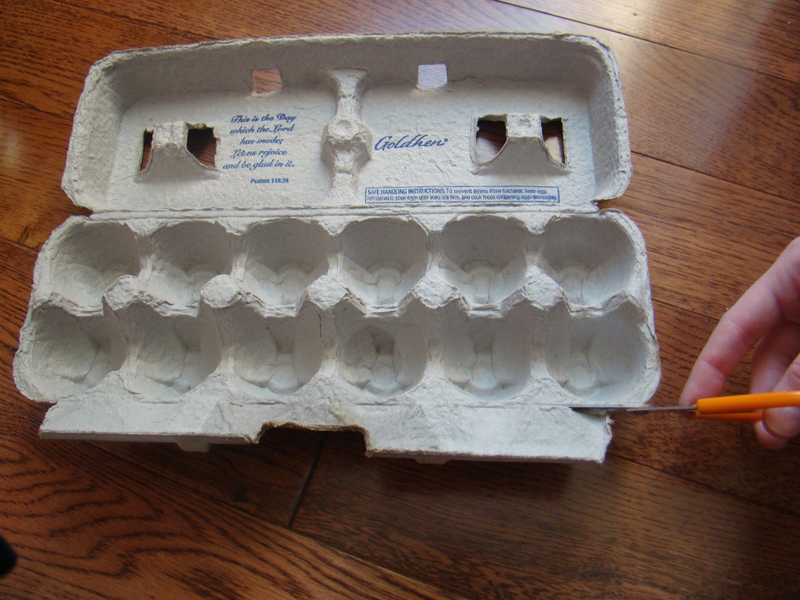 ***WorkingDesigns*** Egg Carton Organizer