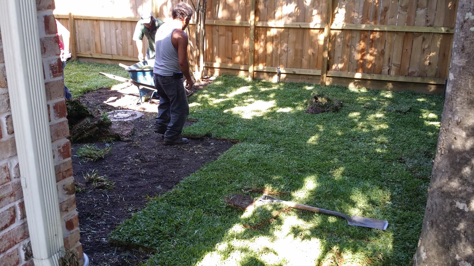 We Sod Houston Sod Installed in Houston TX for 169 per pallet Houston Landscape Contractor