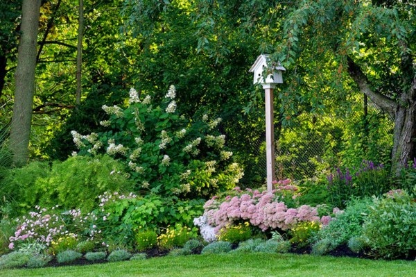 Ideas for garden design for beginner