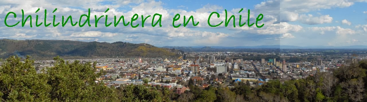 Chilindrinera en Chile