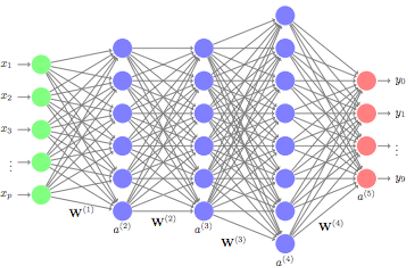 popular deep learning algorithms
