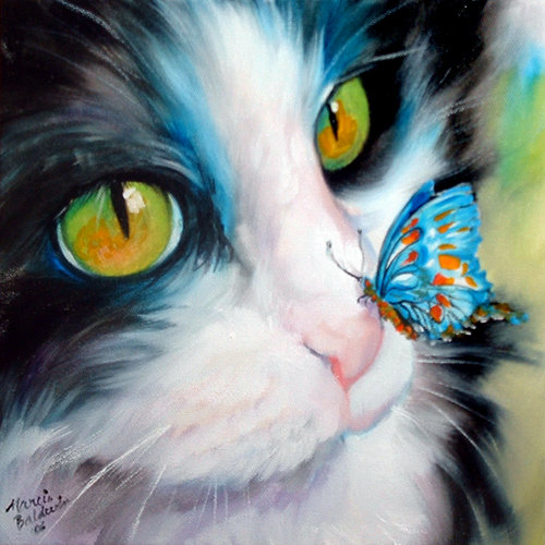 Catatan Inspirasi Gambar Kucing Lucu 1 Cantik Mata Indah