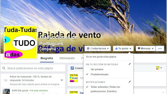 ¿No recibes las notificaciones de Traducciones de portugués en Facebook?