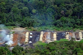 Deforestacion en la Amazonia Brasileña
