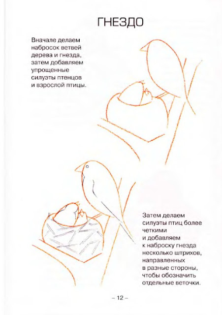Рисуем поэтапно от А до Я. Рисуем поэтапно от А до Я.