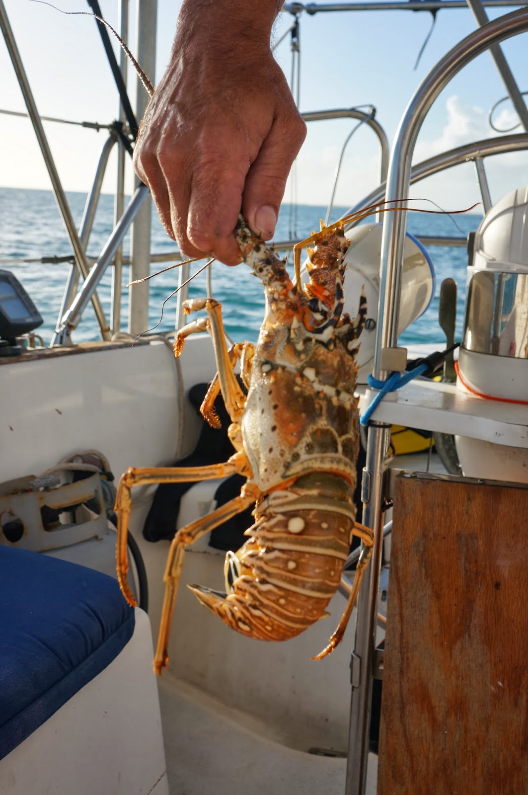 Mountains and Seashore Lobster, Conch and the expensive Turks and