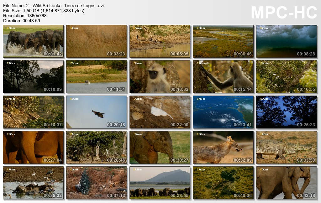 4GB|NATGEO|Wild Sri Lanka|HD 720p|3-3|MEGA|Taykun7000